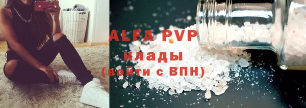 прущие грибы Богородицк