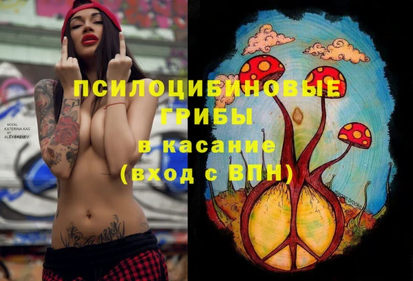 ешки Богданович