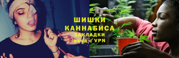 прущие грибы Богородицк