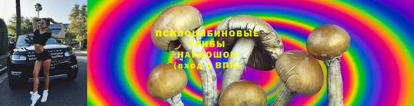 метадон Богородск