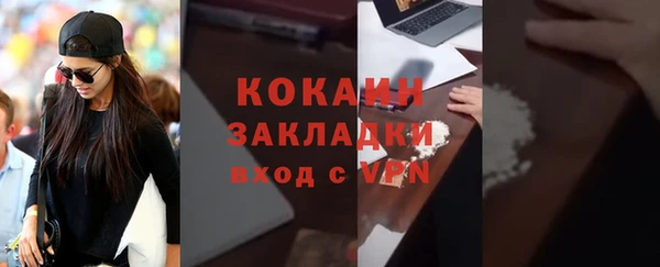 стаф Бородино