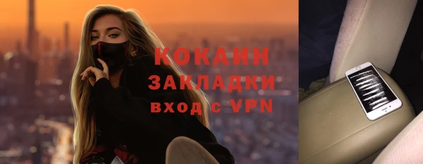 прущие грибы Богородицк
