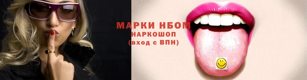 прущие грибы Богородицк