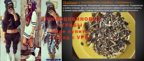 ешки Богданович